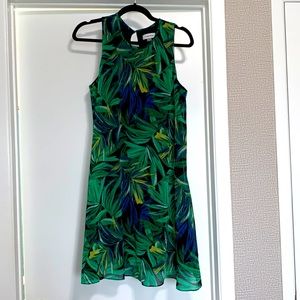 Calvin Klein Women’s Dress Size 10